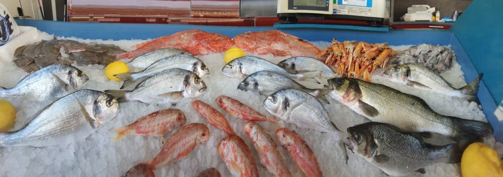 grande variété de poissons péchés